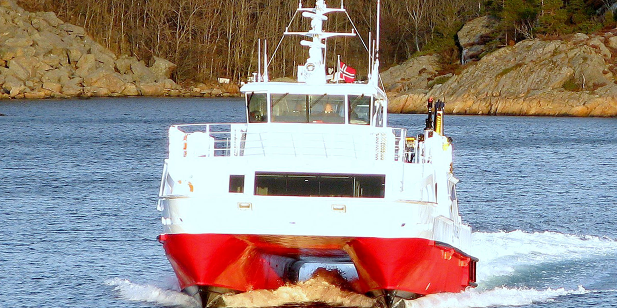 Reference image